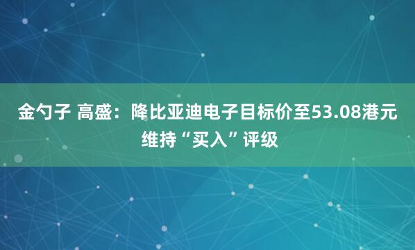 金勺子 高盛：降比亚迪电子目标价至53.08港元 维持“买入”评级