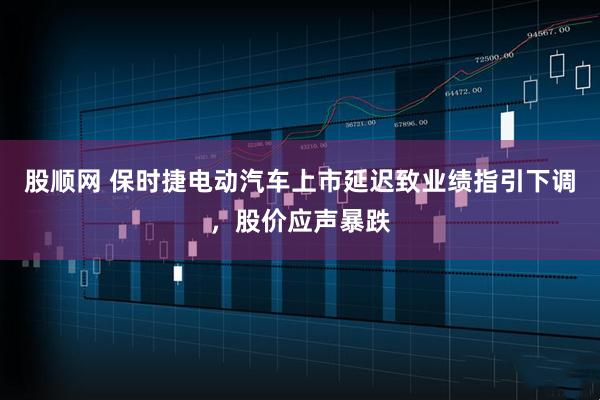 股顺网 保时捷电动汽车上市延迟致业绩指引下调，股价应声暴跌