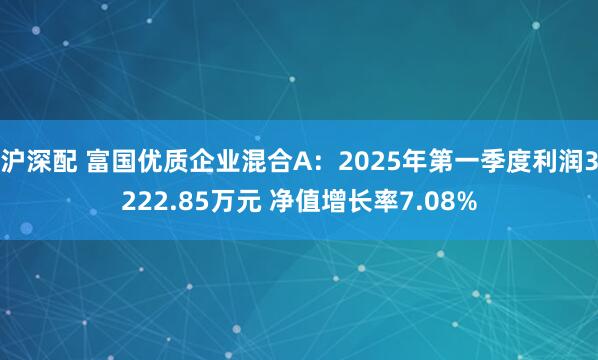 沪深配 富国优质企业混合A：2025年第一季度利润3222.85万元 净值增长率7.08%