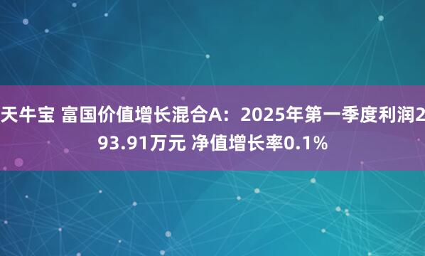 天牛宝 富国价值增长混合A：2025年第一季度利润293.91万元 净值增长率0.1%