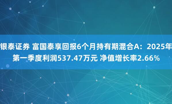银泰证券 富国泰享回报6个月持有期混合A：2025年第一季度利润537.47万元 净值增长率2.66%