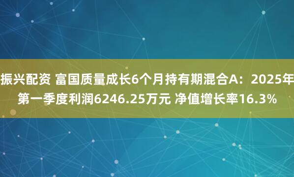 振兴配资 富国质量成长6个月持有期混合A：2025年第一季度利润6246.25万元 净值增长率16.3%