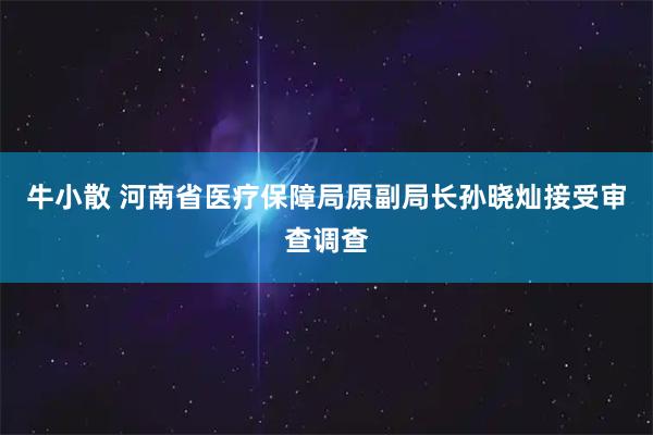 牛小散 河南省医疗保障局原副局长孙晓灿接受审查调查