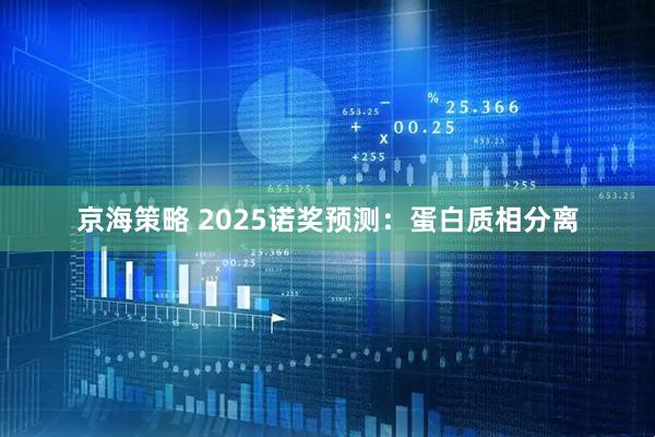 京海策略 2025诺奖预测：蛋白质相分离