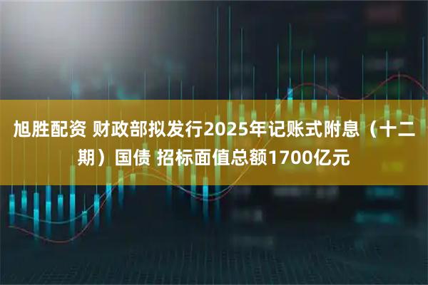 旭胜配资 财政部拟发行2025年记账式附息（十二期）国债 招标面值总额1700亿元