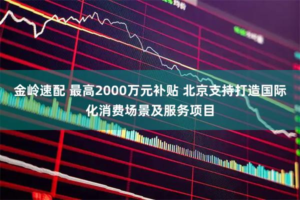 金岭速配 最高2000万元补贴 北京支持打造国际化消费场景及服务项目