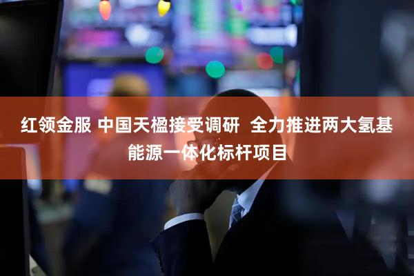 红领金服 中国天楹接受调研 全力推进两大氢基能源一体化标杆项目