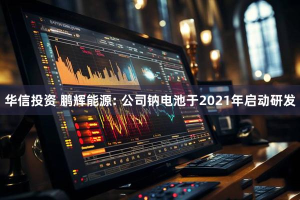 华信投资 鹏辉能源: 公司钠电池于2021年启动研发