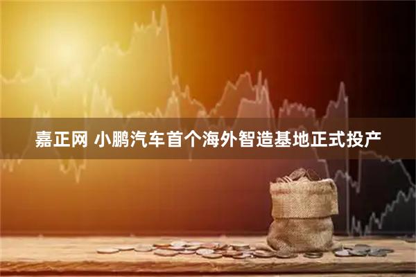 嘉正网 小鹏汽车首个海外智造基地正式投产